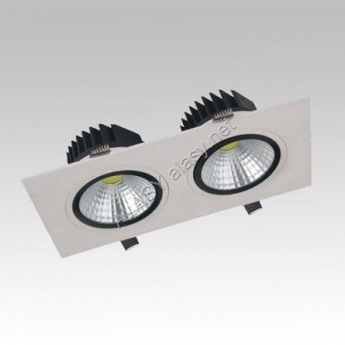 Đèn LED Multilights đôi 10W – MHTD010